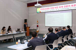 가덕도신공항 미래 비전 모색 전문가 토론회