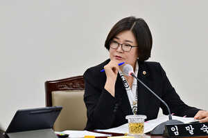 제332회 정례회 해양도시안전위원회 소관 행정사무감사